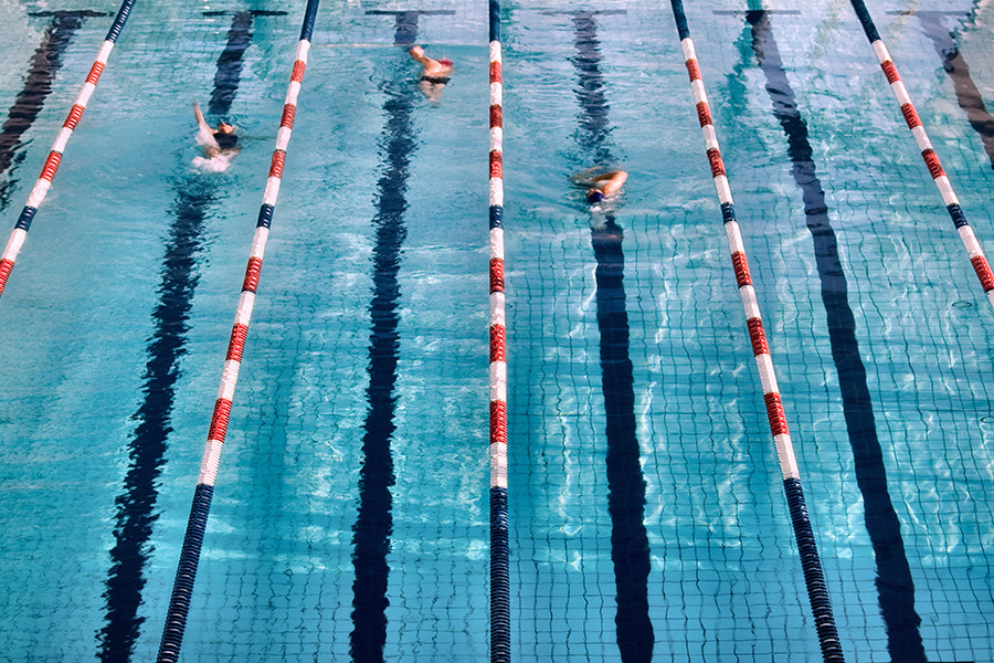Schwimmerbecken von oben, bahnen abgegrenzt, drei Schwimmer ziehen ihre Bahnen